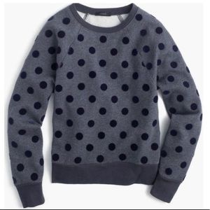 Jcrew Pullover Dot Sweatshirt